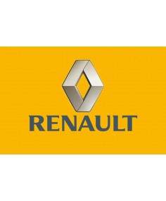 Renault Can Clip..